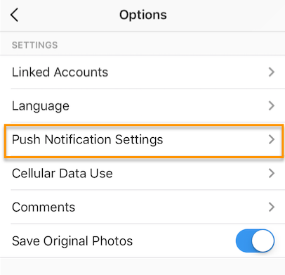 Страница настроек Instagram с выделенными настройками push-уведомлений 11 Страница настроек Instagram с выделенными настройками push-уведомлений