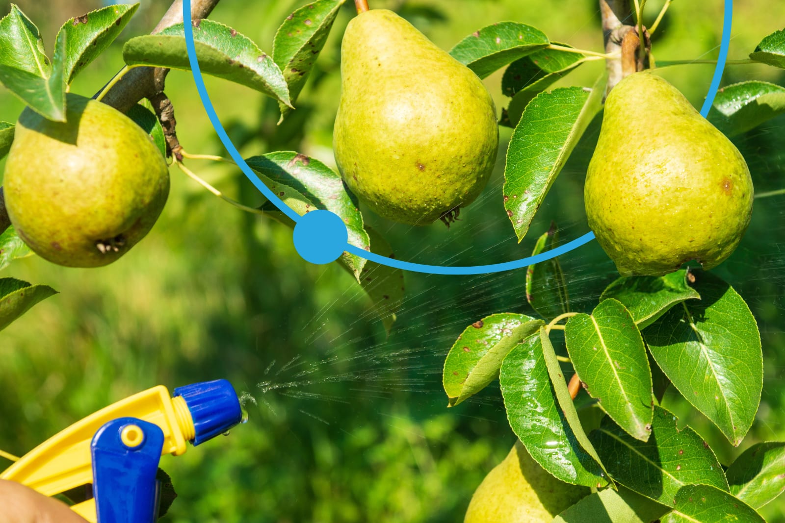 AgroSpred_960_cp_article_image_dff8lb