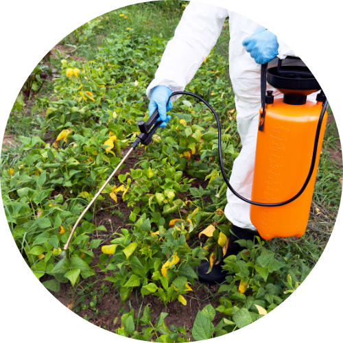 AgroSpred_960_image_1_jwmrra