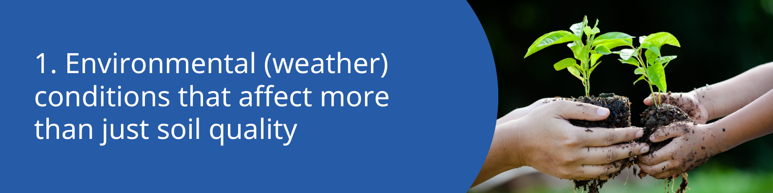 CP_article_header_Environmental_weather_conditions_u9g8u1