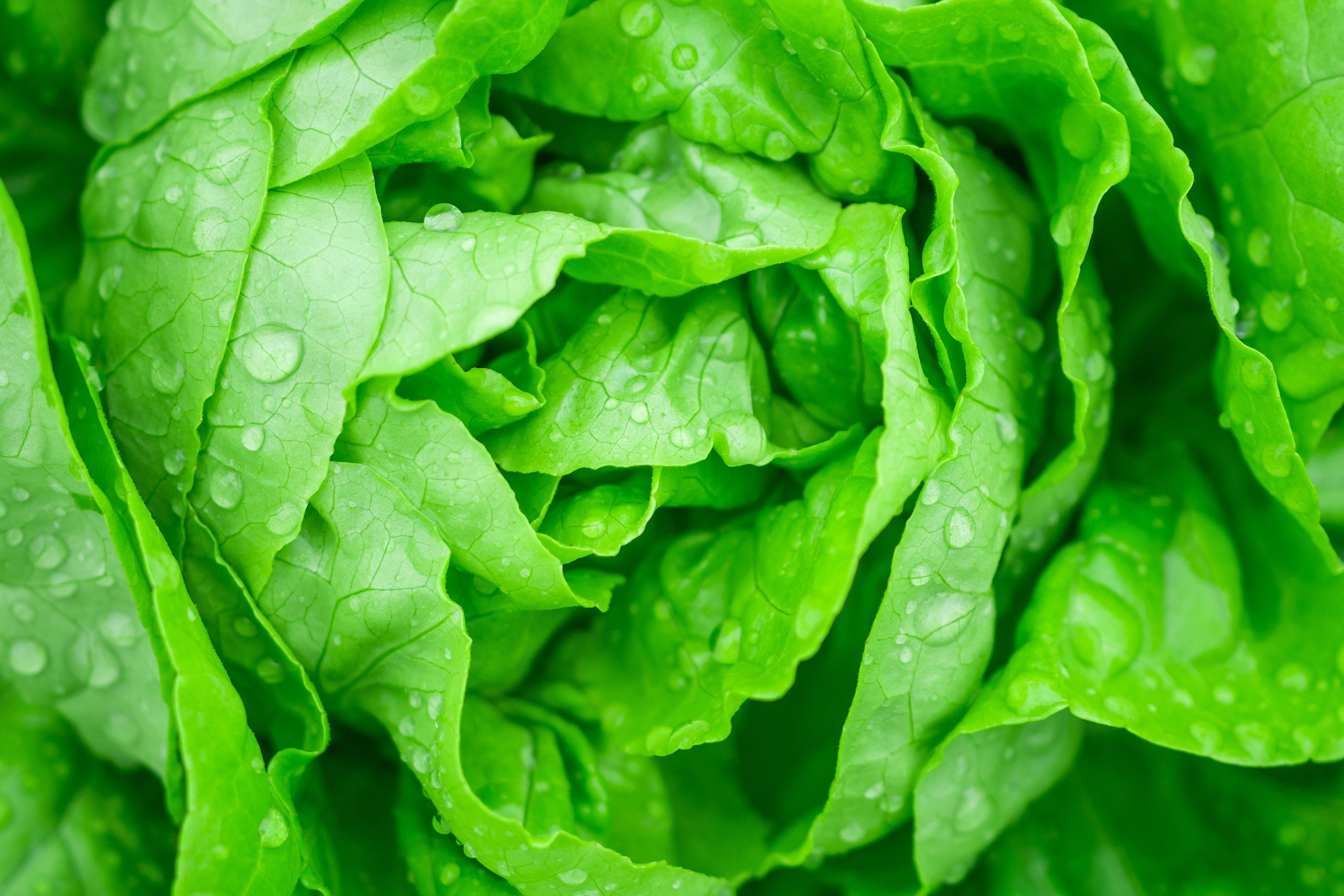 Green solvents: Advancing sustainable agriculture