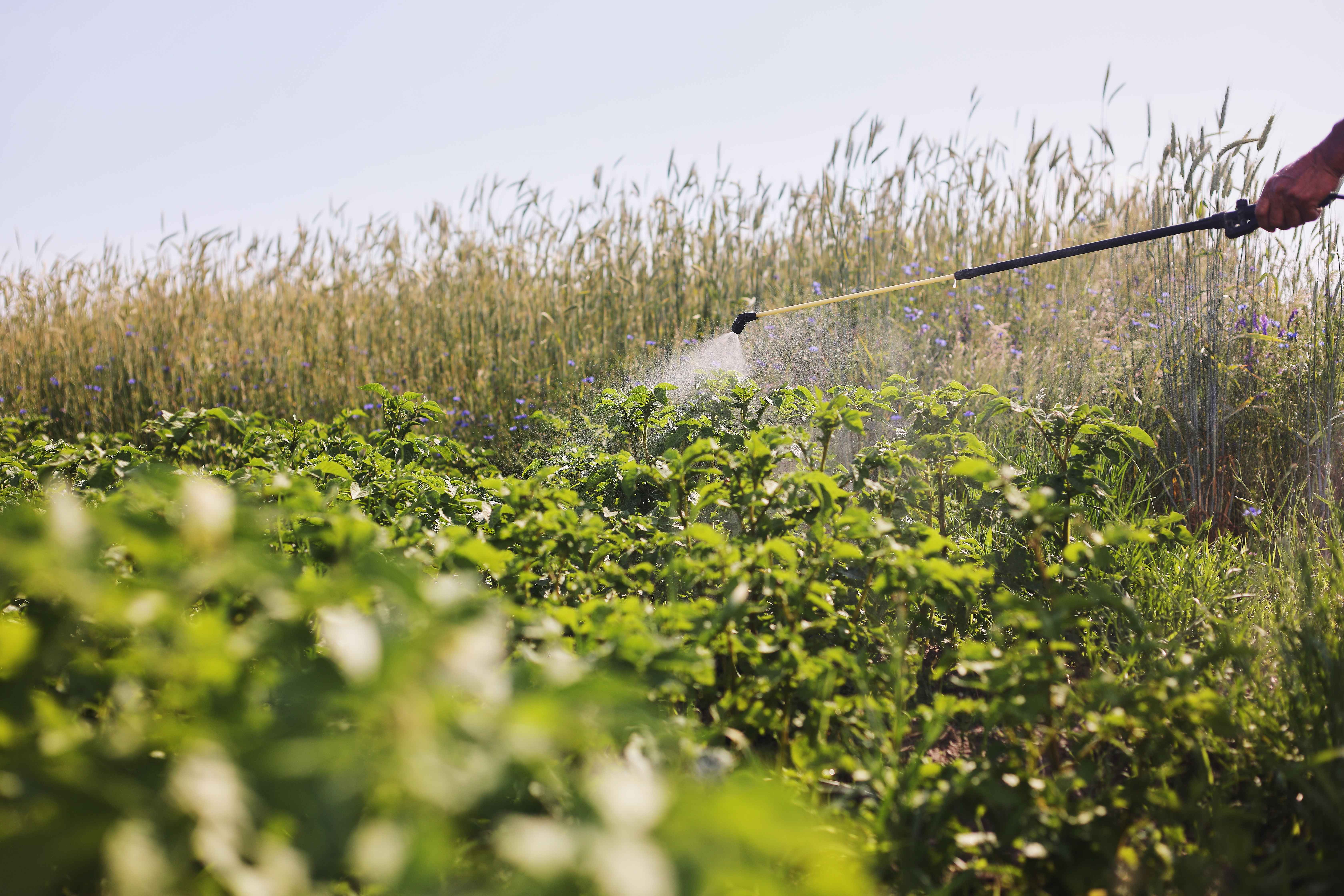 On the path to sustainable crop protection performance