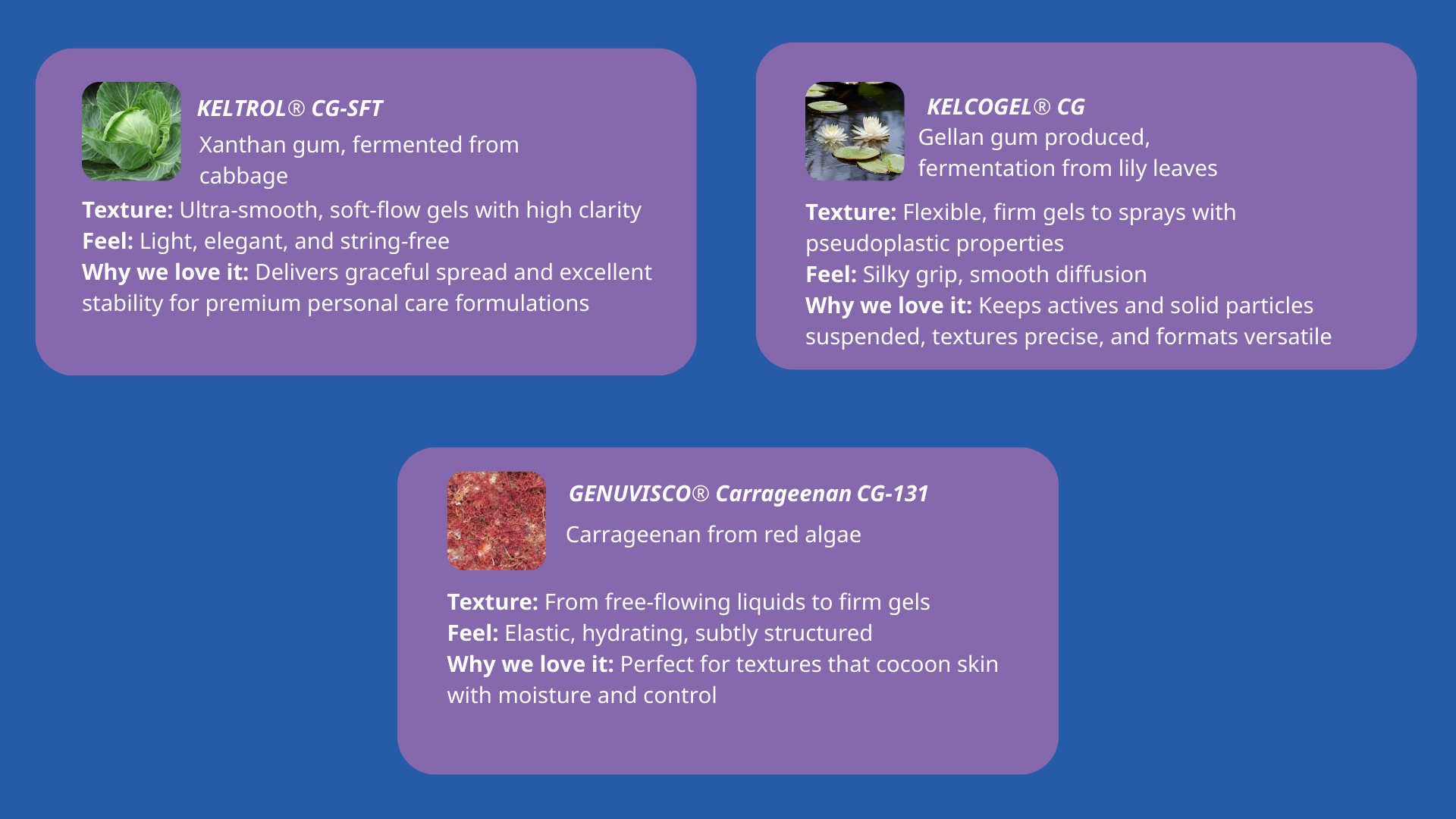 From food-inspired to transformative textures: Sensory formulations to ...