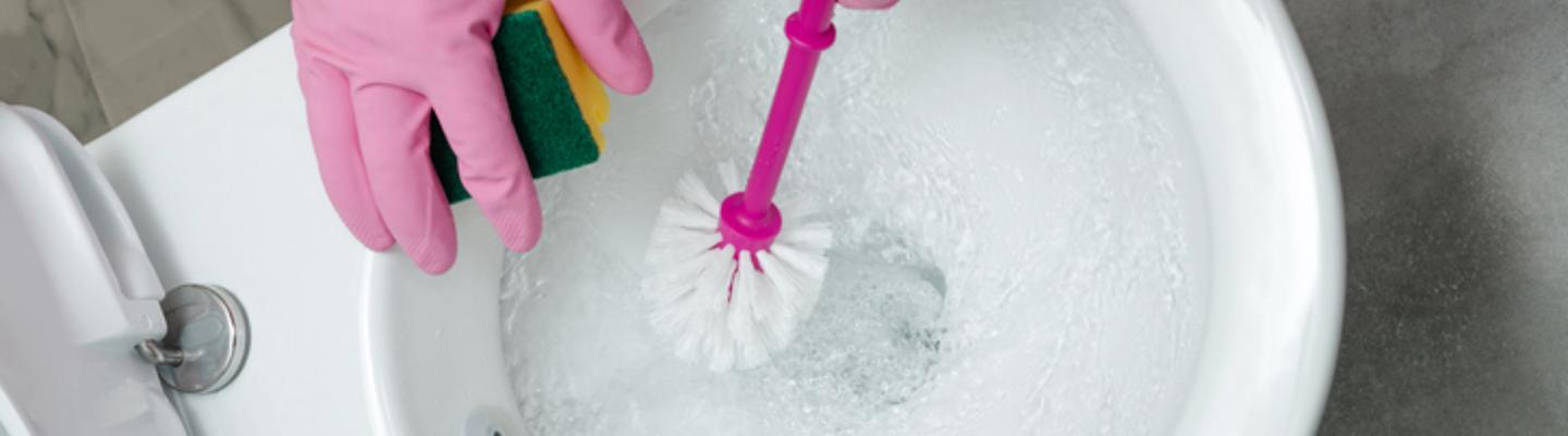 From lab bench to bathroom brilliance: Fizzing Toilet Powder | Market ...