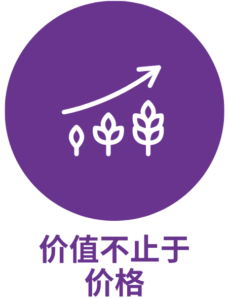 intro-icon-4_rhnzvq