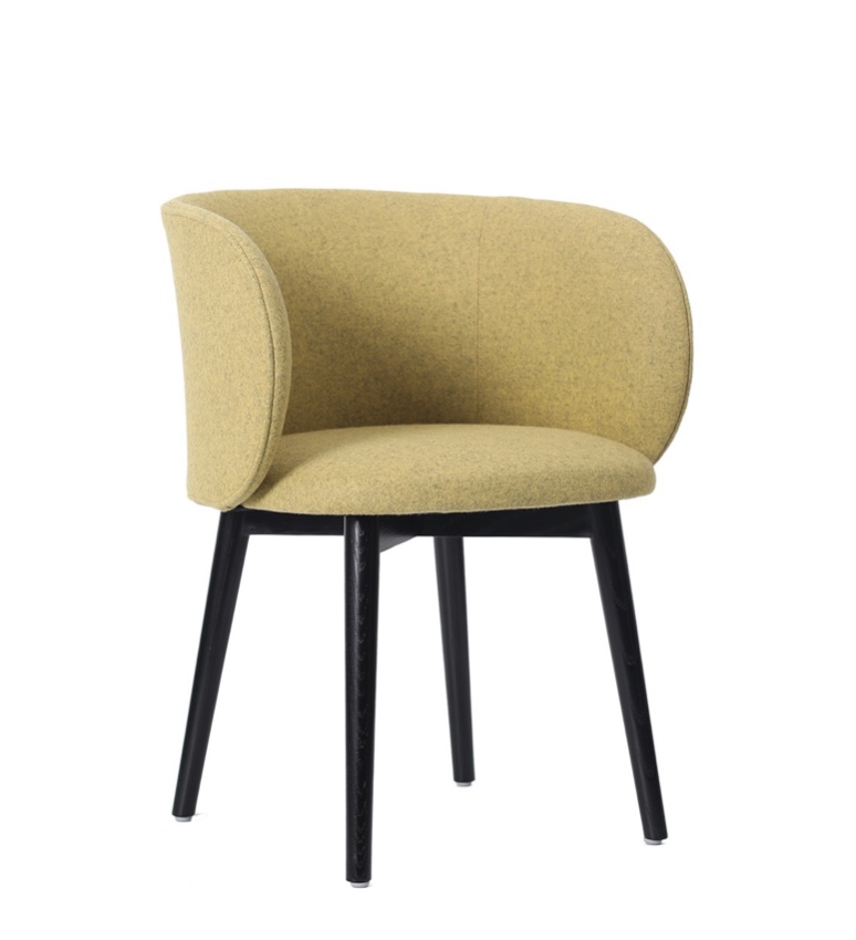 Fox wooden base chair