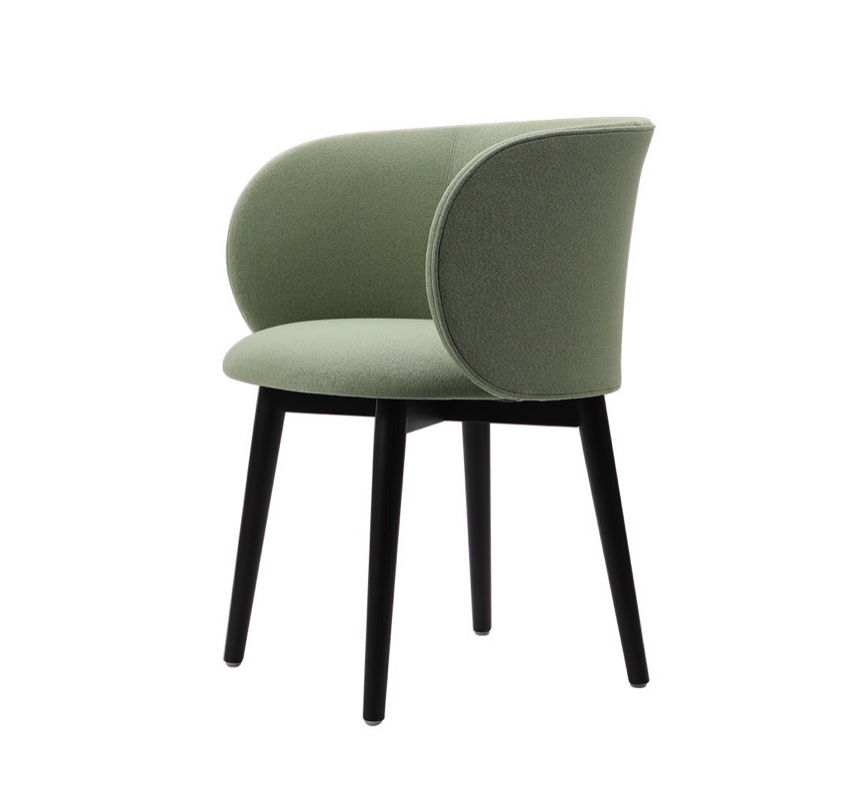 Fox wooden base chair