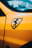 carousel