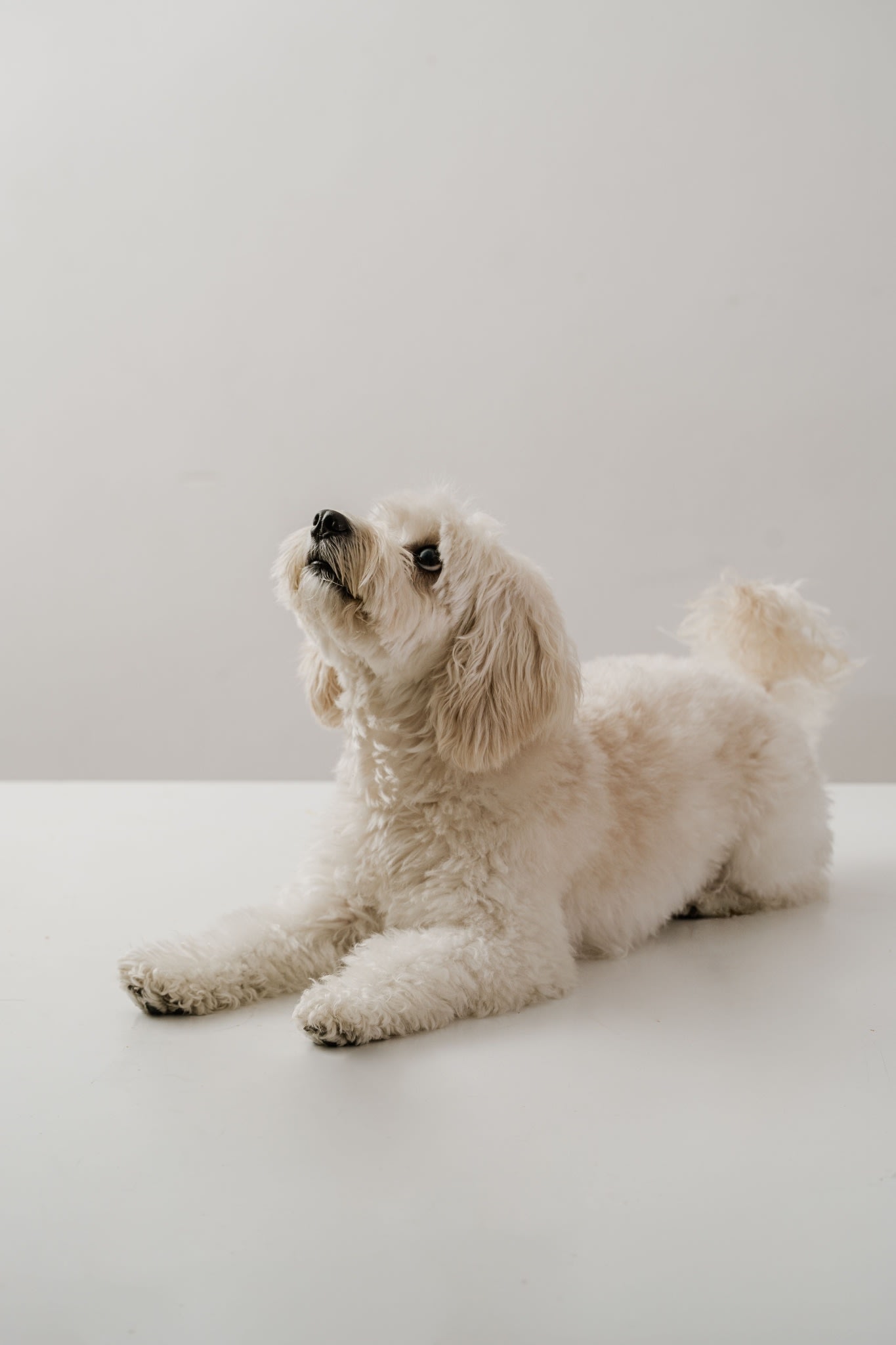 parallax