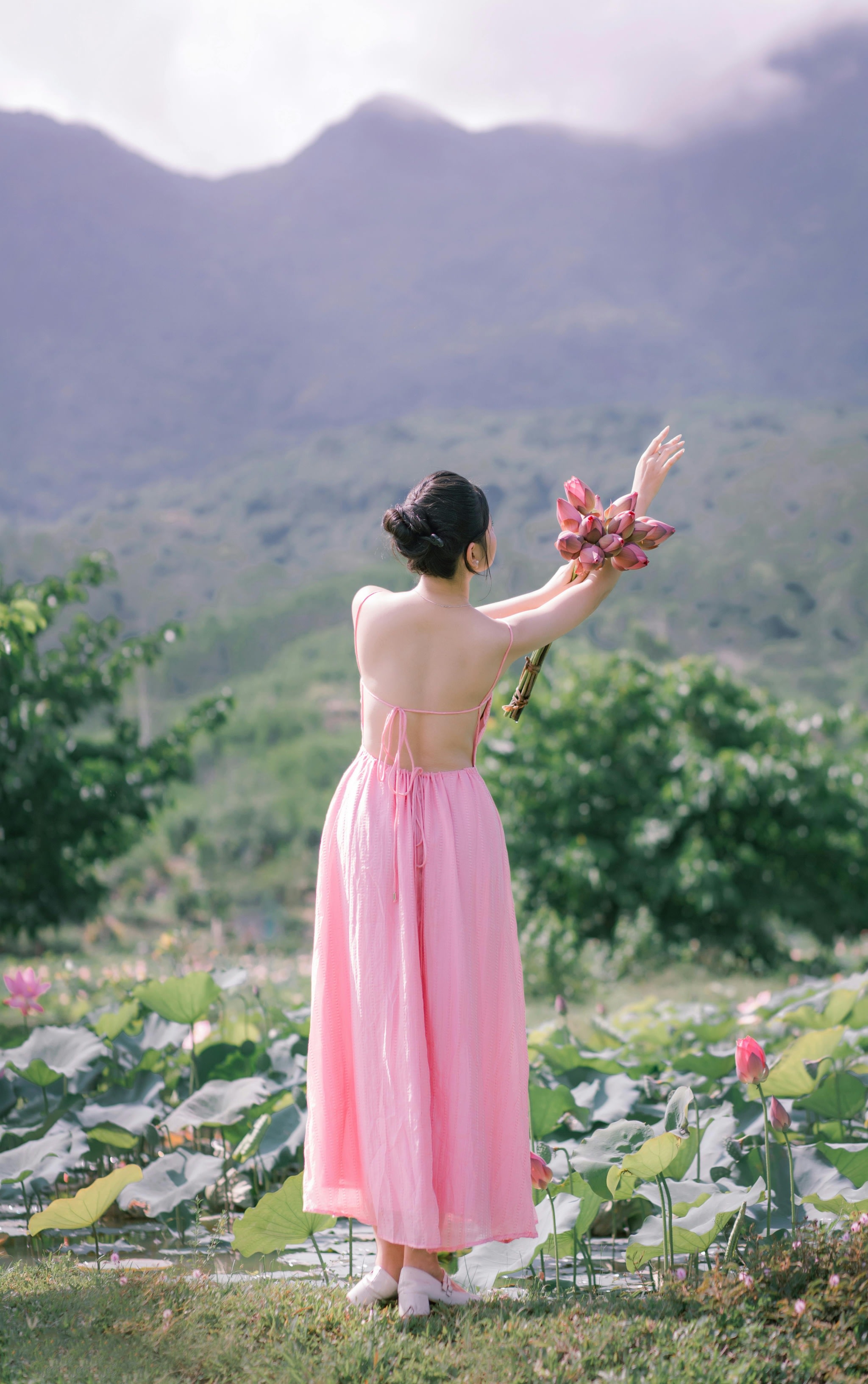 parallax