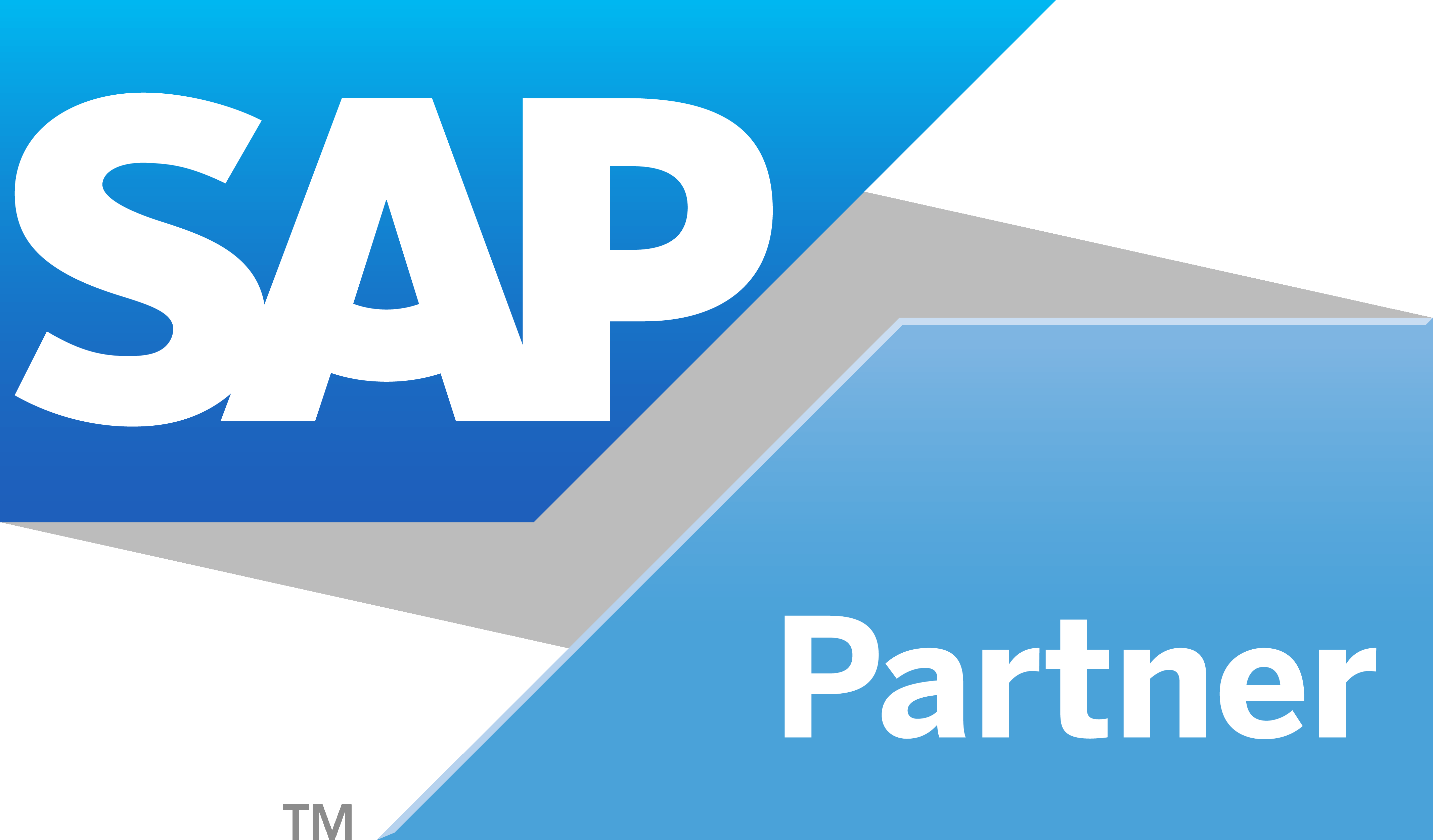 SAP Partner