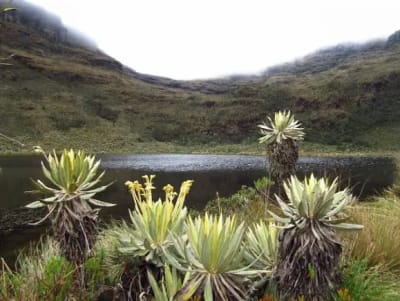 Iguaque Sanctuary: Ie Sué Birding Trail