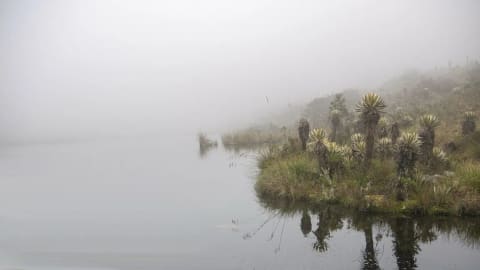 Iguaque Sacred Lake: Bachué Trail