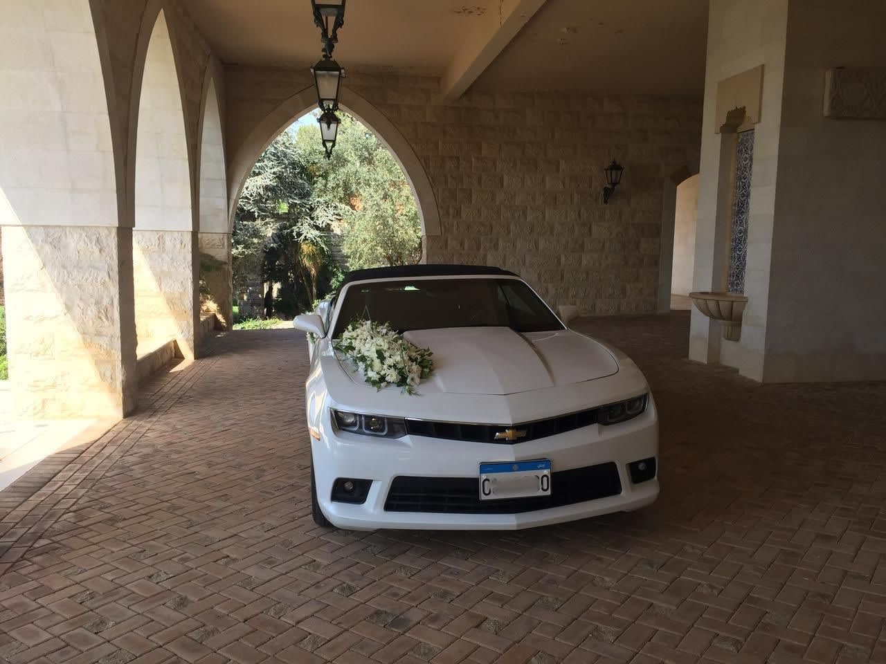Chevrolet Camaro Convertible thumbnail 3