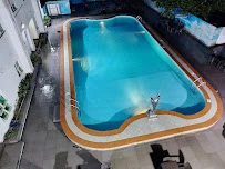 Bonny Dolphin Hotels