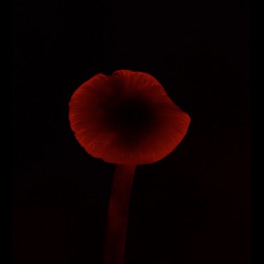 un.studios - repellence (7)