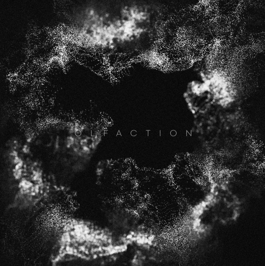Dere - Olfaction (bg1)