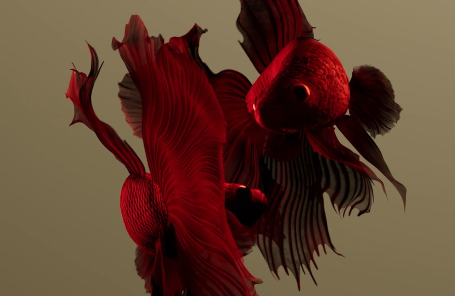 Manor - Betta (4)