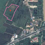 Sell Land 10 Rai 1,000,000 THB per 1 Rai Chachoengsao Province near Road no. 304 Sale by owner