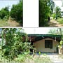 ขายบ้านแฝด ใน ช่องสามหมอ, แก้งคร้อ, ชัยภูมิ