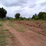 Photo of property 'Land for sale in Sema, Sung Noen District, Nakhon Ratchasima Province'