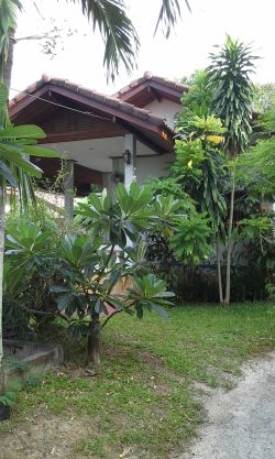 Bamboo Gardens