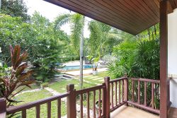 Orchard view 8