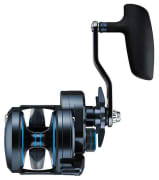 Daiwa 25 Saltist 15 J