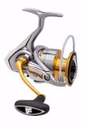 Daiwa Freams LT 6000