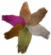 Futurefly Signature Rooster Cape