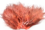 Flyco Barred Marabou