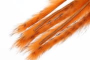 Flyco 3mm Rabbit Barred Zonkerstrip Burnt Orange