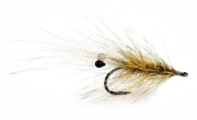 Coyote Grisen #6