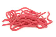 Caster`s Squirmito worm