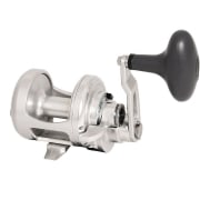 Accurate BX 400 XN 6:1 Silver
