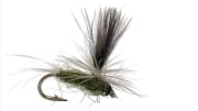 BAETIS MEDIUM OLIVE