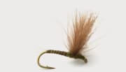 Cdc Biot Comparadun Olive