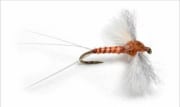 Cdc Biot Spinner Rusty