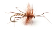 Daddy Long Legs #10
