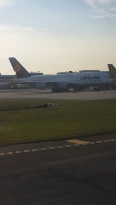lufthansassingapore.jpg image