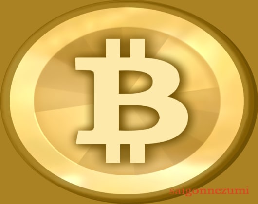 Bitcoins