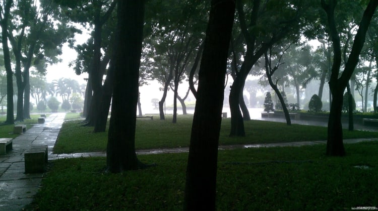 Saigon Downpour (2012)