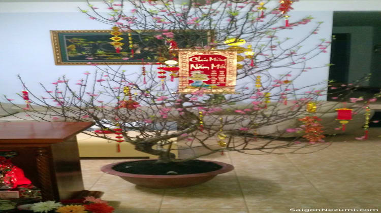 Tet 2012 - Year of the Dragon