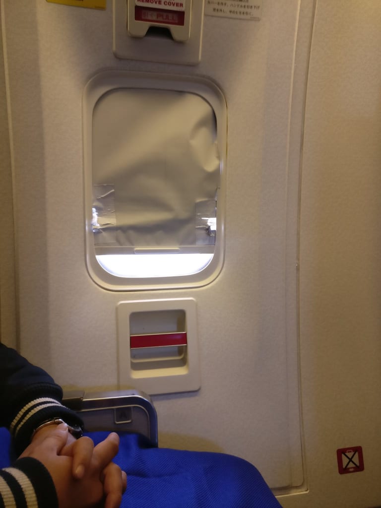 Damaged Window Shade on ANA