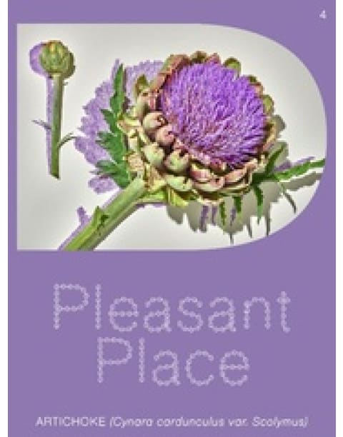 Artichoke