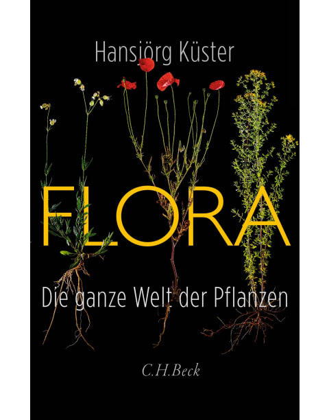 Flora