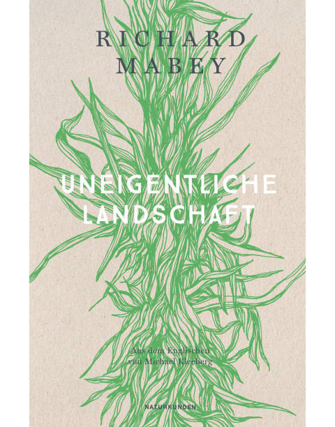 Uneigentliche Landschaft