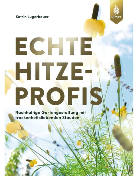 Echte Hitzeprofis