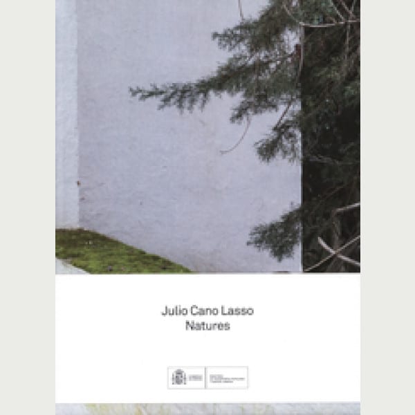 Julio Cano Lasso