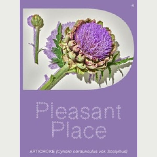 Artichoke